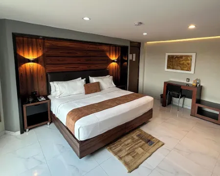 ホテル ダリ プラザ エヘクティボ グアダラハラのホテル