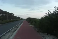 Between Nazareth and S. Pedro de Moel Hotels in Pataias