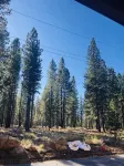 A/C- Family Friendly - Forest View- Pool and Hot Tub