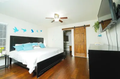 Beautiful Oasis With Pool / Game Room / Wonderful Location Hotels in Northwest San Antonio