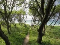 Stylish 3 rows App. up to 4 people + Toddler + wifi, 250 m to the Baltic Sea Hotels in Börgerende-Rethwisch