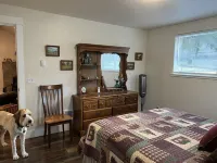 Spectacular Cozy Cottage- Wood Stove, Fire Pit, Creek Alpacas at Lone Ranch 주변 호텔