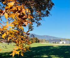 FAB MODERN BARN  w/heated pool, views & 21+ acres - close to UVA & Vineyards!