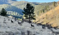 Cozy cabin. Quiet valley. Hot tub & views. Close to everything CO has to offer.