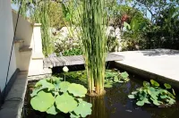 Luxury Beach Front Villa with Infinity Pool, Staff and Breathtaking Views! Hotels in Thyrite