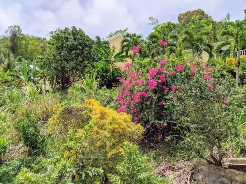 Black Pearl Estate. Unique Caribbean home Отели в г. Ла Феиллет