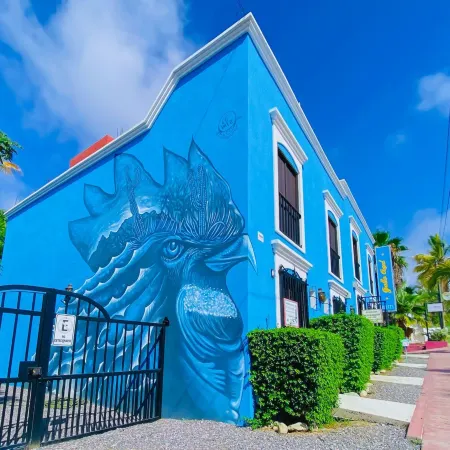 Gallo Azul Hotel, en El corazón de Todos Santos