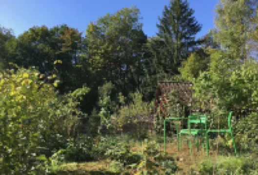 Lille Carlsson Studio Hotels in 