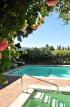 Vineyard Country Inn - Romantic