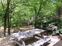 Four Seasons Inn Hotels in Haywood County