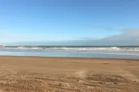The Lazy Seal - Beach