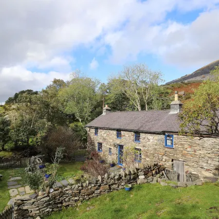 Llwyn Bedw