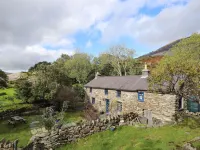 Llwyn Bedw