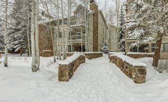 Chateaux DuMont 4 Bedroom Homes by Summit County Mountain Retreats