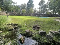 Poolside King Cabana with Full Kitchen, King Bed, Sleeper Sofa and Pool Access, Hotel Room Hotels in Mount Ida