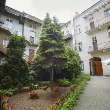 Dizzy Daisy Hostel