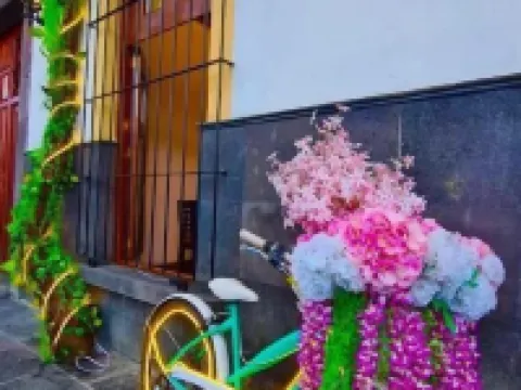 Hotel Boutique Pedregal Hoteles en Coatepec