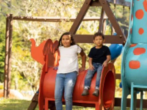 Dantica Cloud Forest Lodge Hoteles en Copey