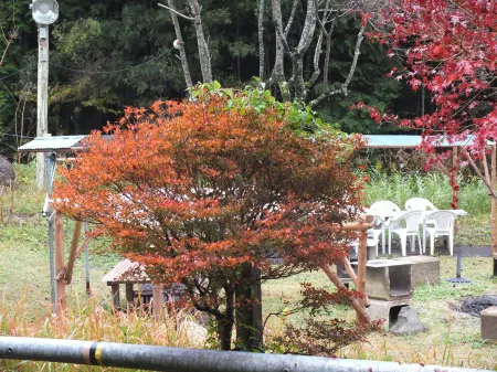 Mountain Domu Отели в г. Цуруги