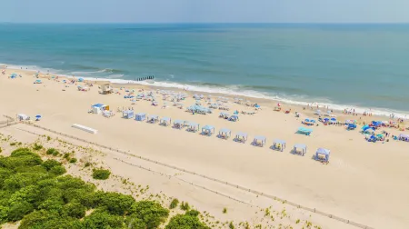 The Beach Club on Madison Avenue