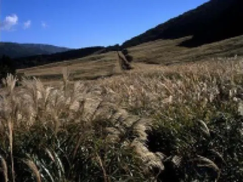 Kaisekiryourinoyado Shinmeisansou