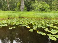 Cozy & Quiet Cabin 2 Minutes from Coffman Cove Harbor - 16' Skiff & Van Avail.