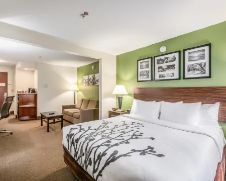 スリープ イン & スイーツ ラストン ニア ユニバーシティ ラストンのホテル