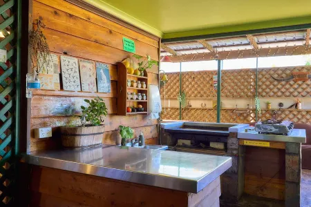 On the Wallaby Eco Lodge Отели рядом с достопримечательностью «Artistree Gallery»