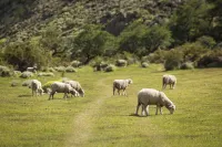 Bonanza Glamp Nature Experience