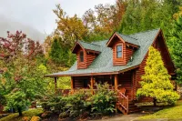 Cozy Upscale Cabin w Fireplace Hot Tub