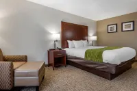 Comfort Inn Hotels in Shelby