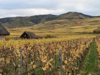 Gite du Hengst, near Colmar Between villages and castles Hotels in Wintzenheim