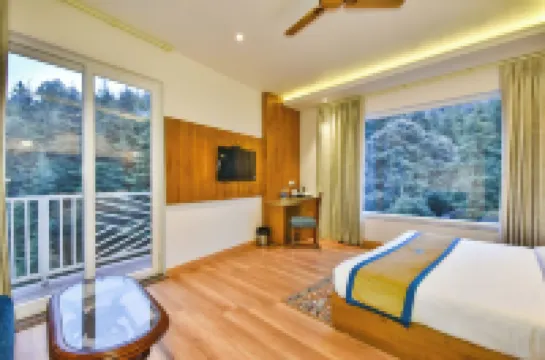 Ark Holiday Inn by Dls Hotels