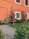 Casa Teresa (Floor 1)