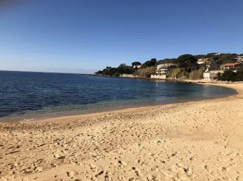 WATERFRONT APARTMENT IN SOUTH CORSICA (1 MINUTE WALK FROM THE BEACH)