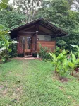 Tranquil Waterfall Studio, Oceanfront with Jungle Hiking and Starlink