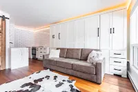 Ajax views and river patio! Newly remolded with King Murphy bed!