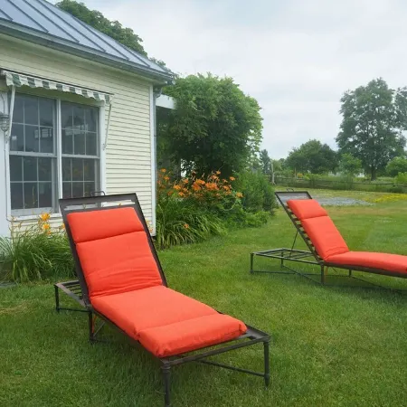 Serene, sun splashed cottage Отели в г. Аддисон