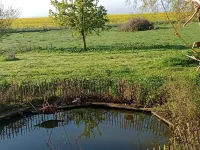 Das Pustehus in Grödersby, Weitblick Über Wiese und Feld zur Schlei Hotels in Grödersby