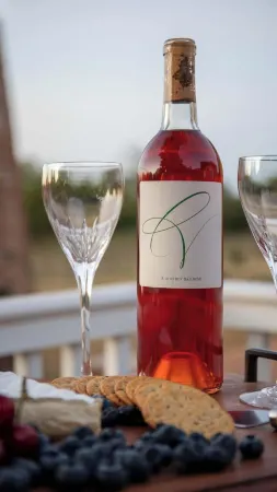 Mildred Haus and Guesthaus