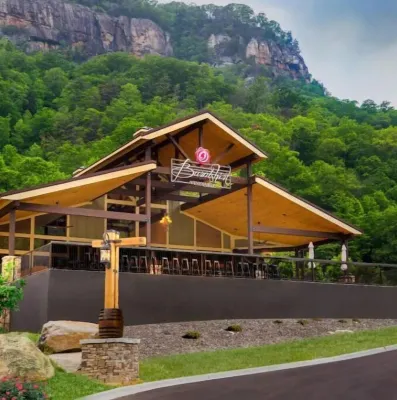 Upscale Bungalow walk less than a mile from downtown Hendersonville