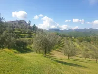 Getaway Amidst Vineyards