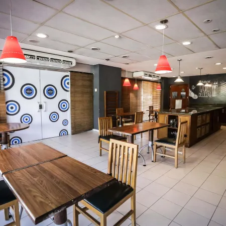 Ibis Teresina