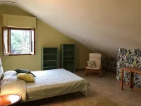 Holiday Home in Pescia with Private Pool