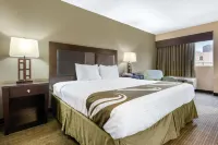 퀄리티 인 & 스위트 찰스턴