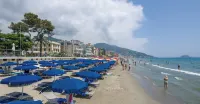 Grand Hotel Mediterranee - en bord de mer