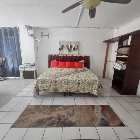 Fast Wifi•Private Apto•Street Entry•Garden•CableTV