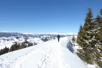 La casa di Valbelluna Hotels in Feltre