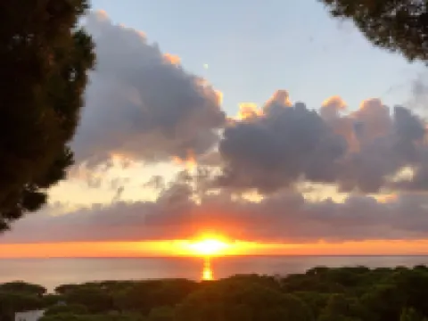 "Melis II M8 Playa de Pals"