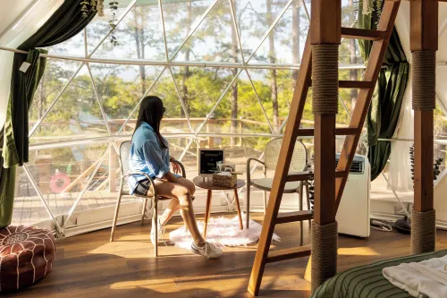 Tiny Pines Glamping - 3 stelle